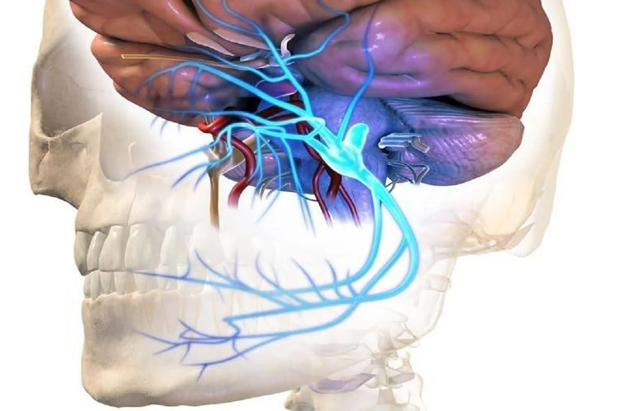 Neuralgia del Trigémino: Una explicación clara y tranquilizadora